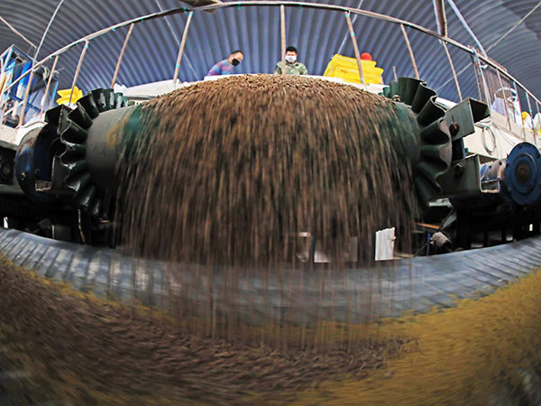 Bij productie van 1 ton -20 ton per uur organische meststofpoeder granulaat productielijnapparatuur