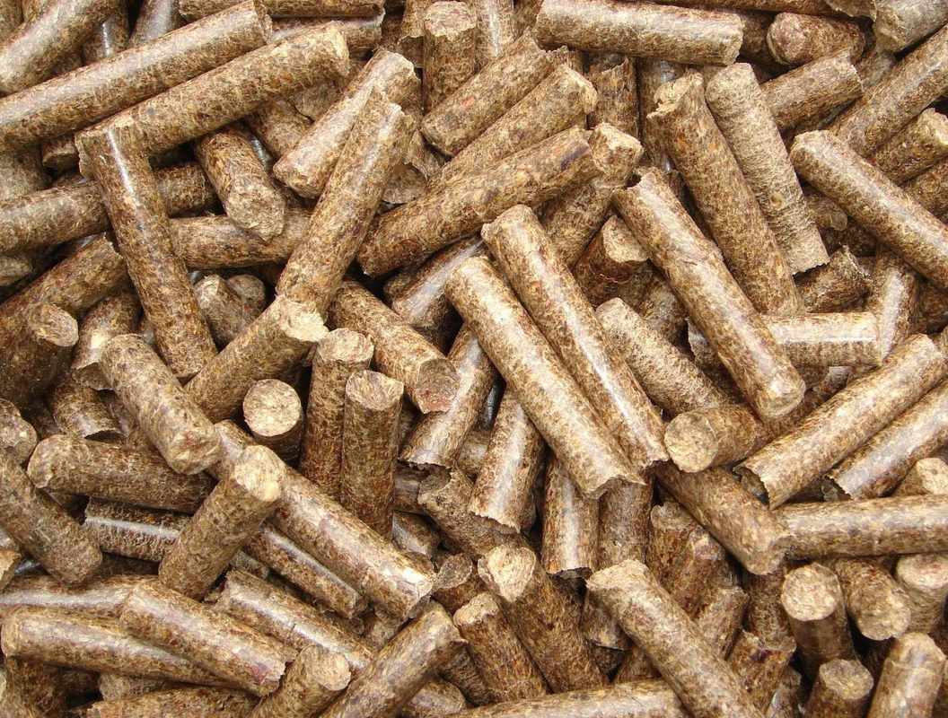 Eindkorrels Grootte 3-10 mm Organische meststof Granulator met een productiecapaciteit van 4-6 t/u