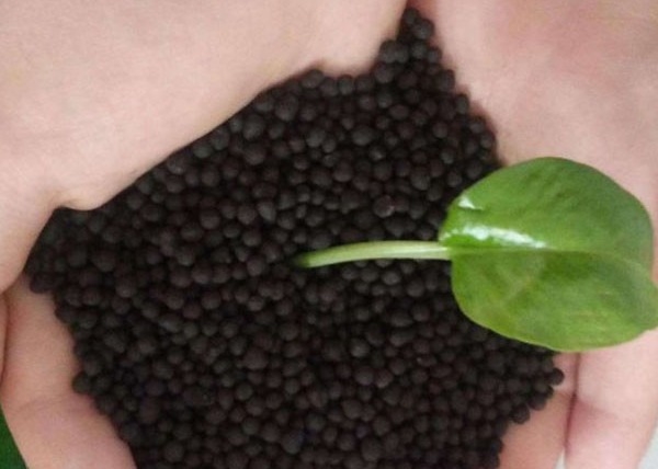 Productielijn voor organische meststoffen Pellet Productielijn voor duivenmest Productielijn voor organische meststoffen Productie van meststoffen