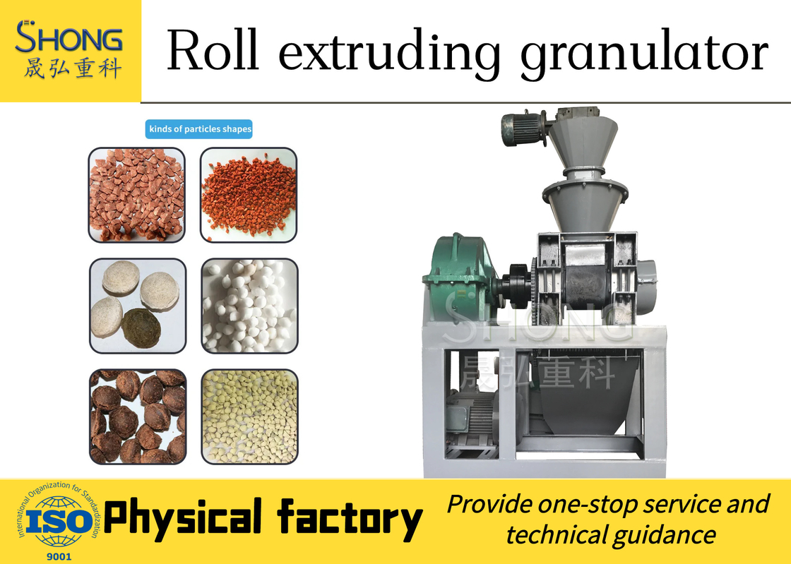 Op maat gemaakte 186*300mm Roller Size Roller Press Granulator voor uw mestproductie